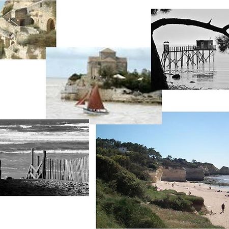 Chambre D'Hotes Le Berceau Meschers-sur-Gironde Zewnętrze zdjęcie