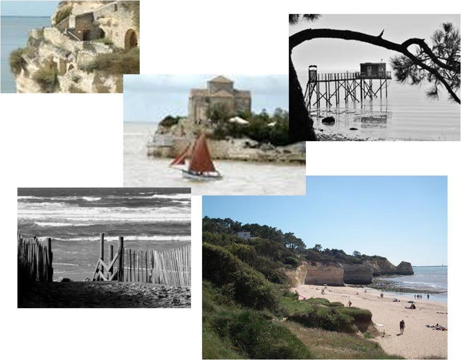 Chambre D'Hotes Le Berceau Meschers-sur-Gironde Zewnętrze zdjęcie